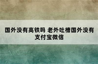 国外没有高铁吗 老外吐槽国外没有支付宝微信